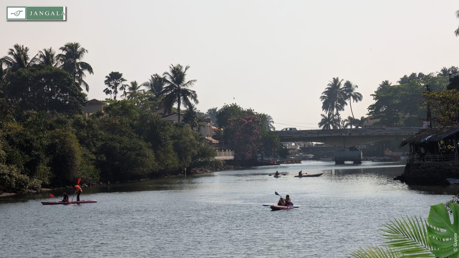 Photo Jangala Hotel Goa