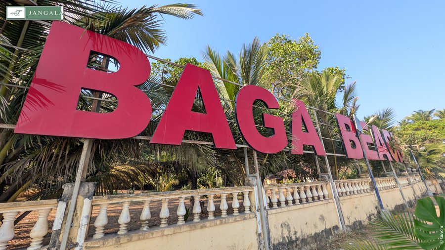 Photo Jangala Hotel Goa