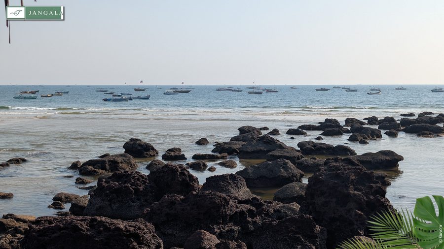 Photo Jangala Hotel Goa