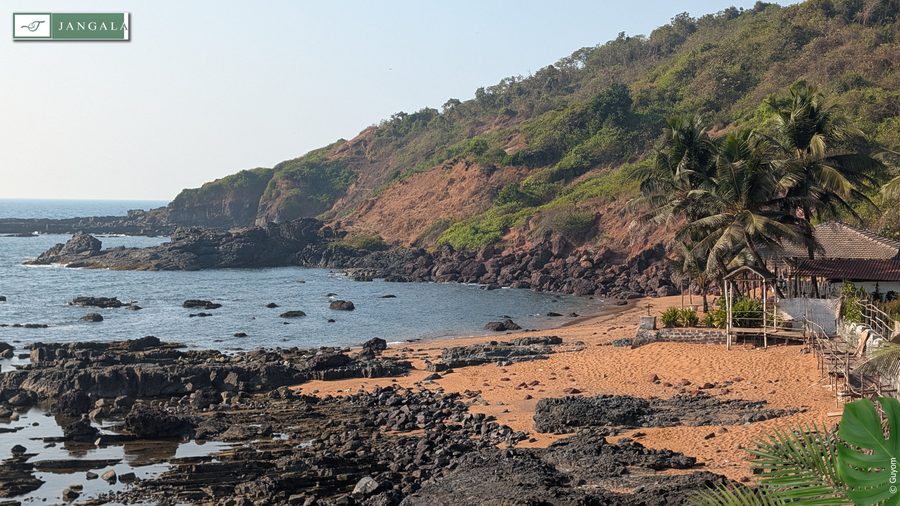 Photo Jangala Hotel Goa