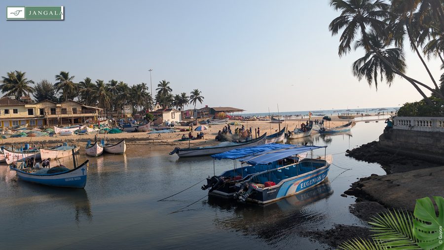 Photo Jangala Hotel Goa