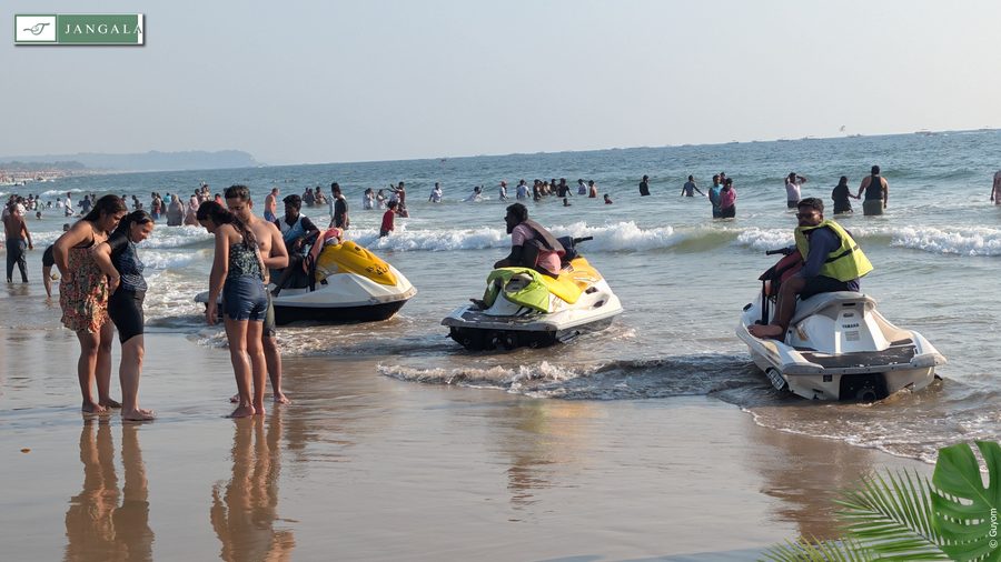 Photo Jangala Hotel Goa