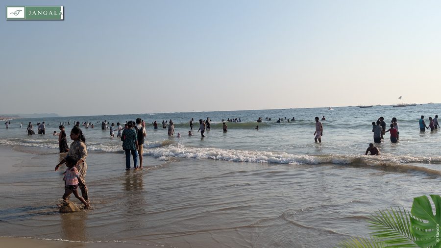 Photo Jangala Hotel Goa