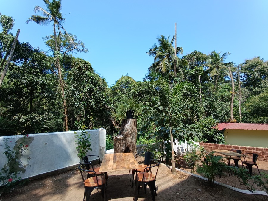 Jardin tropical Jangala Hotel Goa